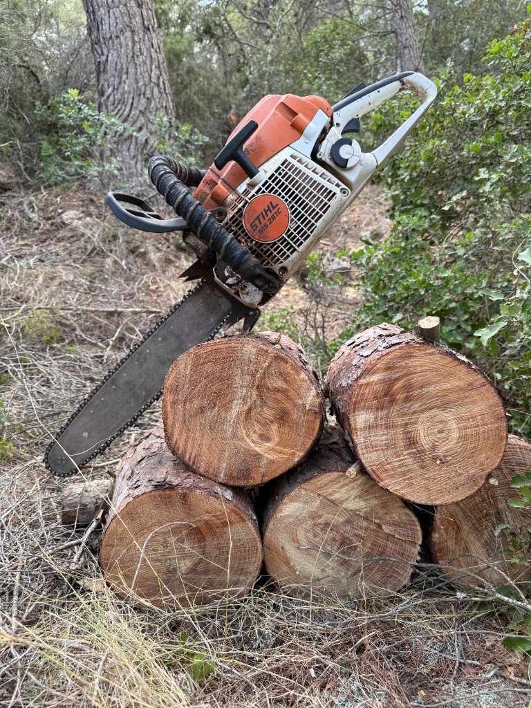 Stihl chainsaw resting on a stack of freshly cut logs during tree work