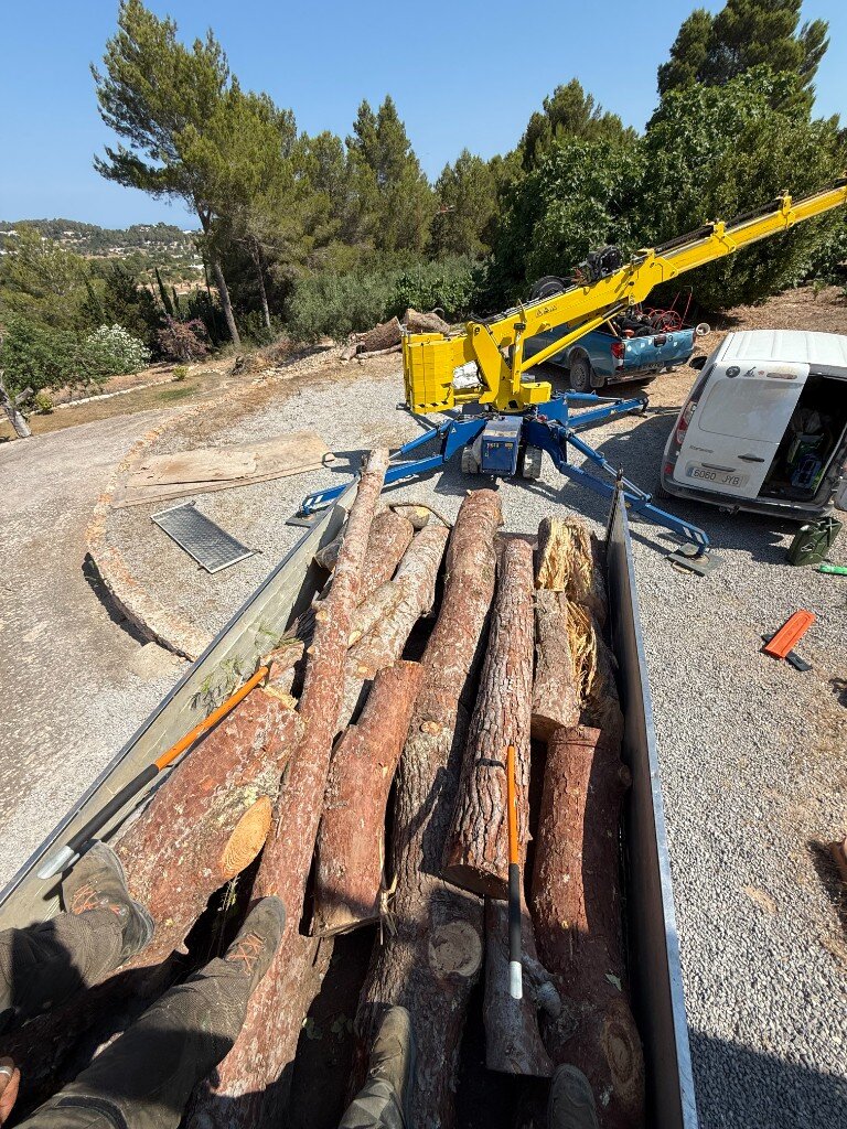 Cleared timber loaded for fire-break work with crane on site